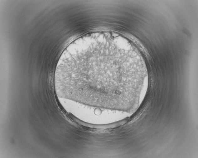 X0000115031337200912071040