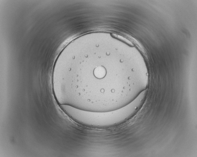 X0000115031338200912071040