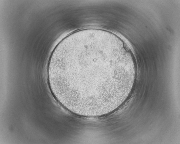 X0000115031341200912071040