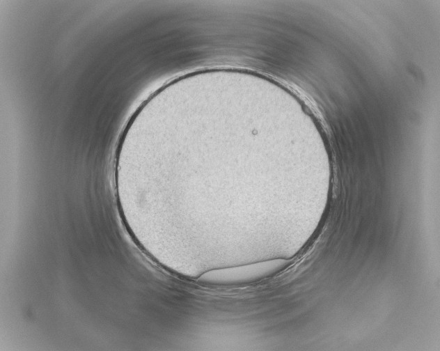 X0000115031342200912071040