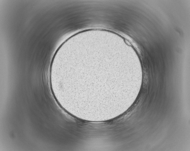 X0000115031343200912071040