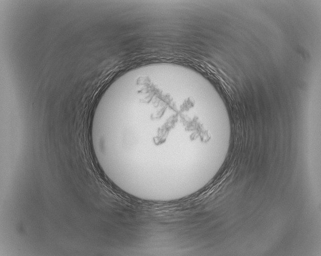 X0000115031345200912071039