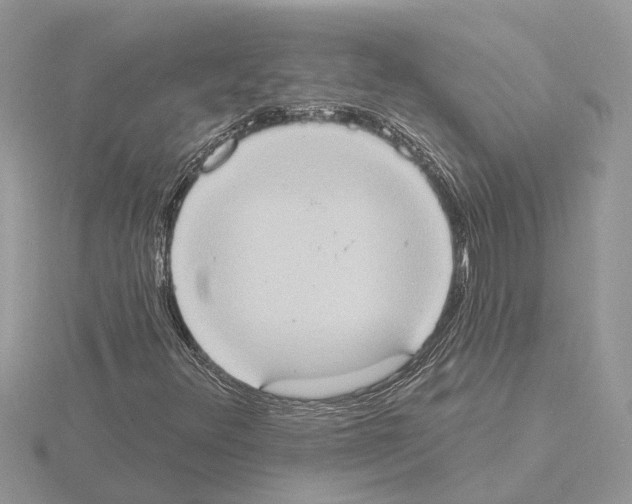 X0000115031348200912071039