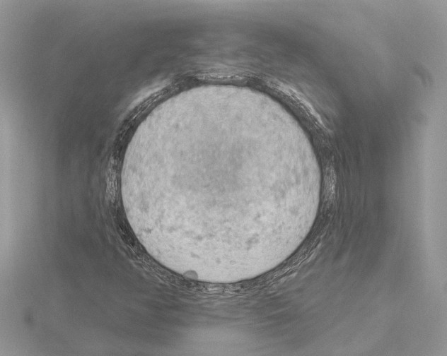 X0000115031350200912071039