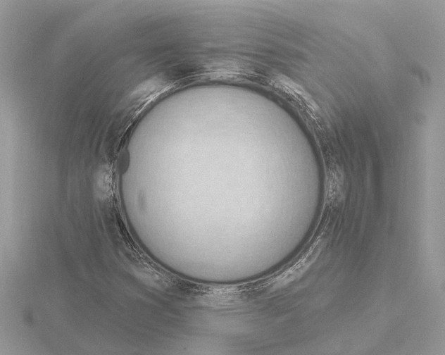X0000115031353200912071039
