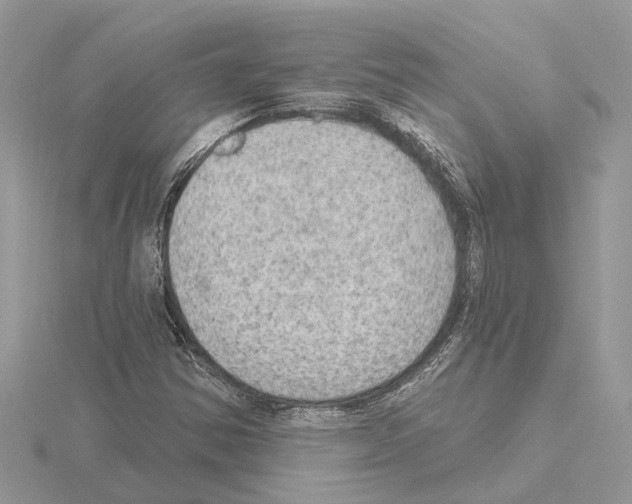 X0000115031354200912071039