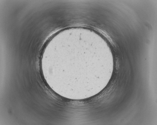 X0000115031356200912071039