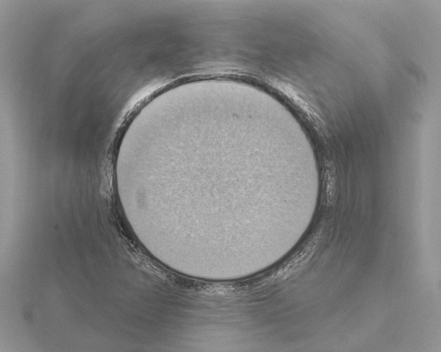 X0000115031358200912071039