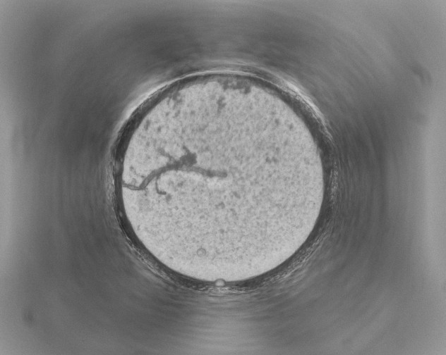 X0000115031360200912071039