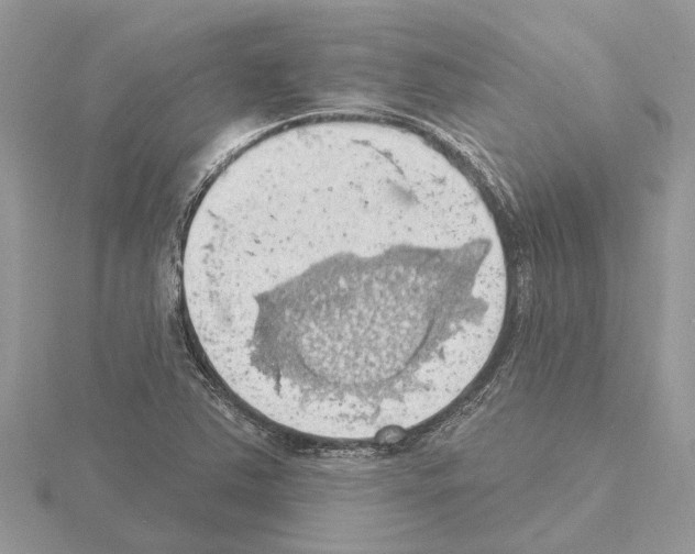 X0000115031363200912071039