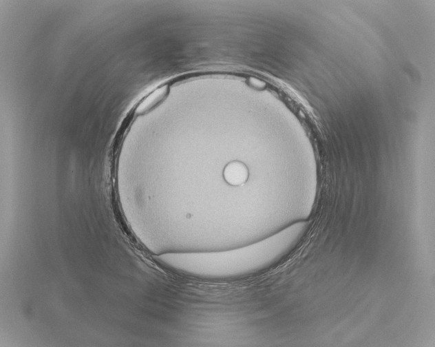 X0000115031364200912071039