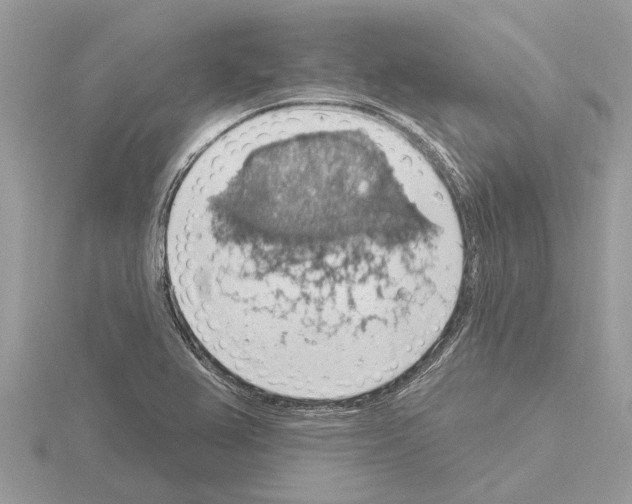 X0000115031367200912071039