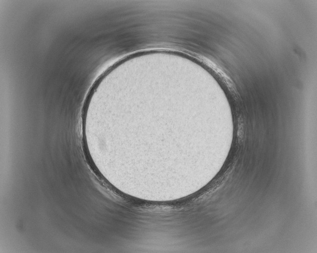 X0000115031372200912071039