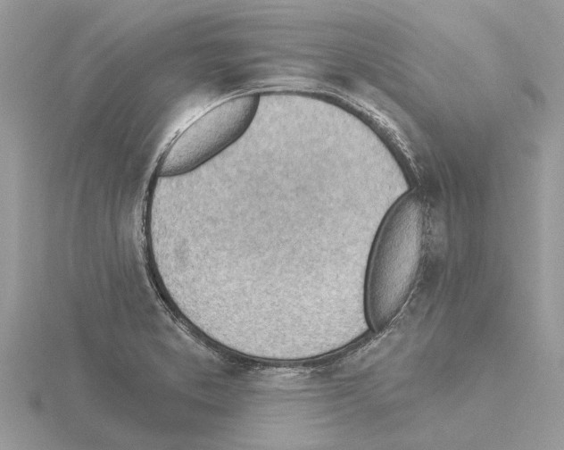 X0000115031373200912071039