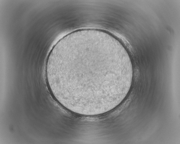 X0000115031374200912071039