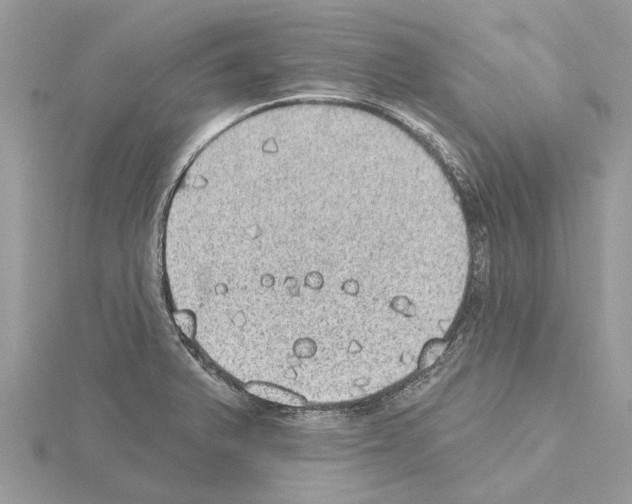 X0000115031375200912071039