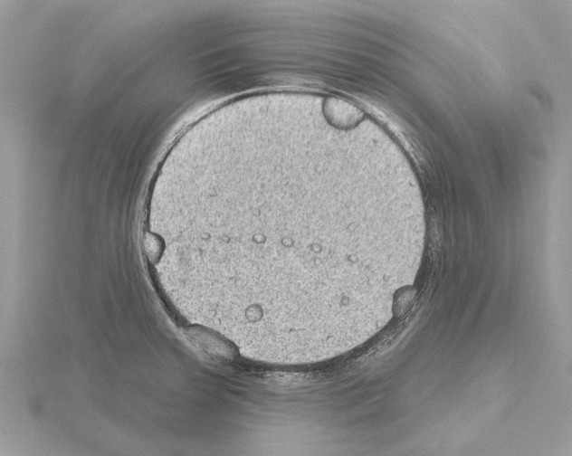 X0000115031379200912071039