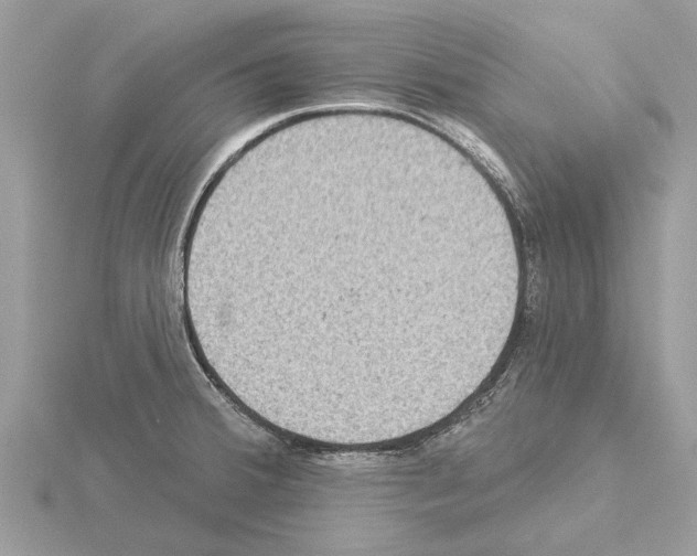 X0000115031380200912071039