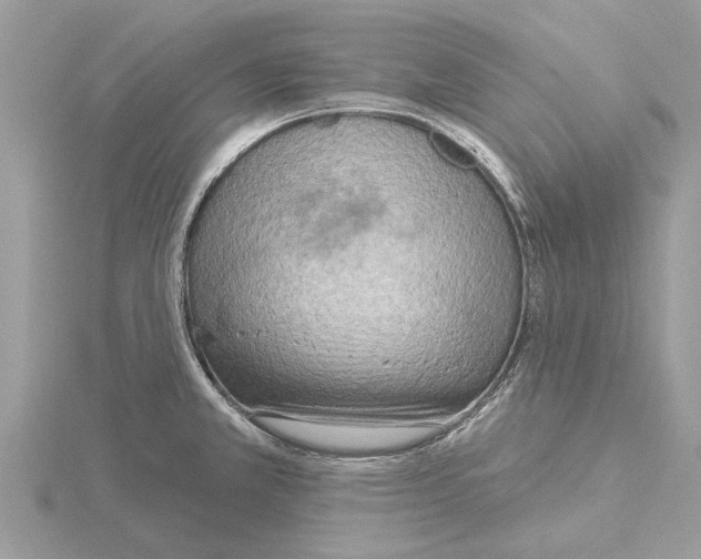 X0000115031381200912071039