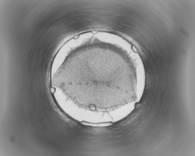 X0000115031383200912071039