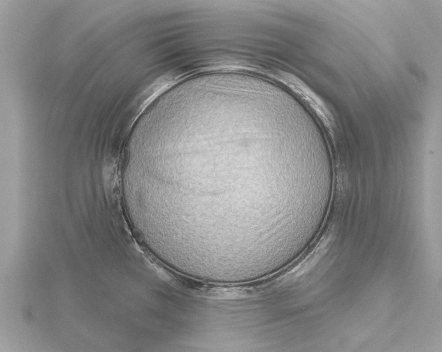 X0000115031385200912071039