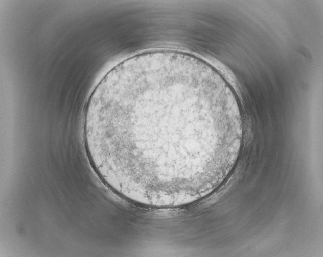 X0000115031390200912071039