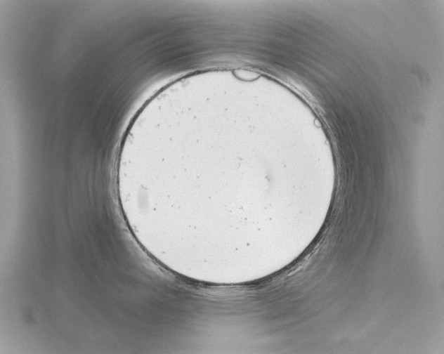 X0000115031392200912071039