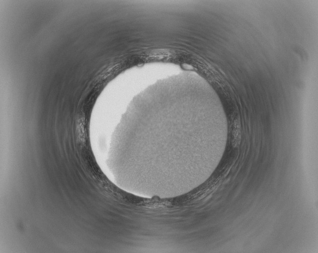 X0000115031394200912071038