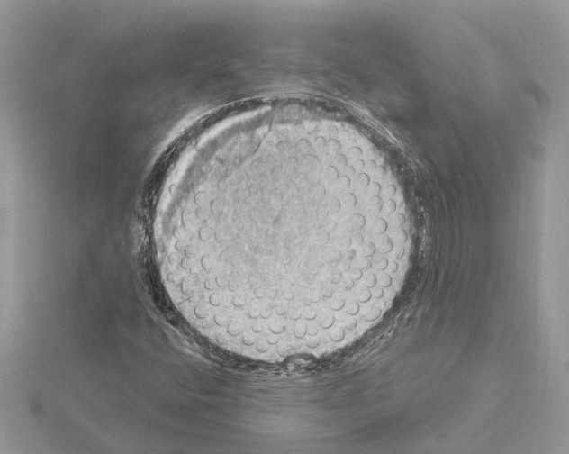 X0000115031400200912071038