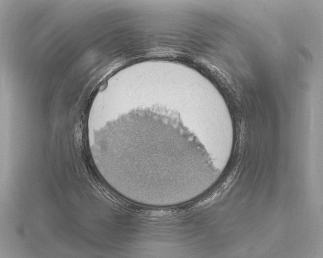 X0000115031401200912071038