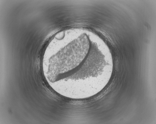 X0000115031402200912071038