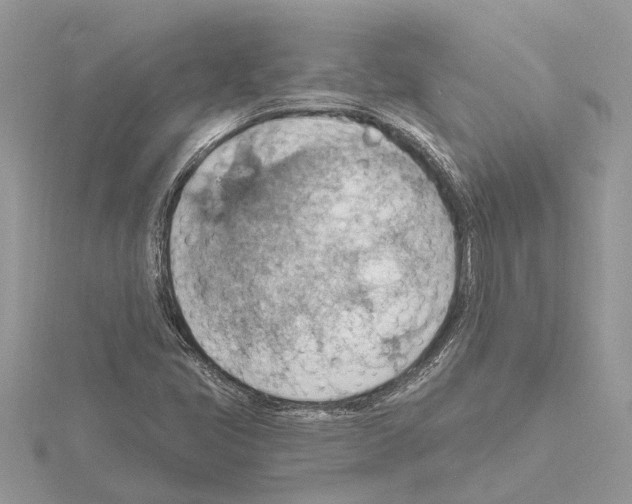 X0000115031405200912071038