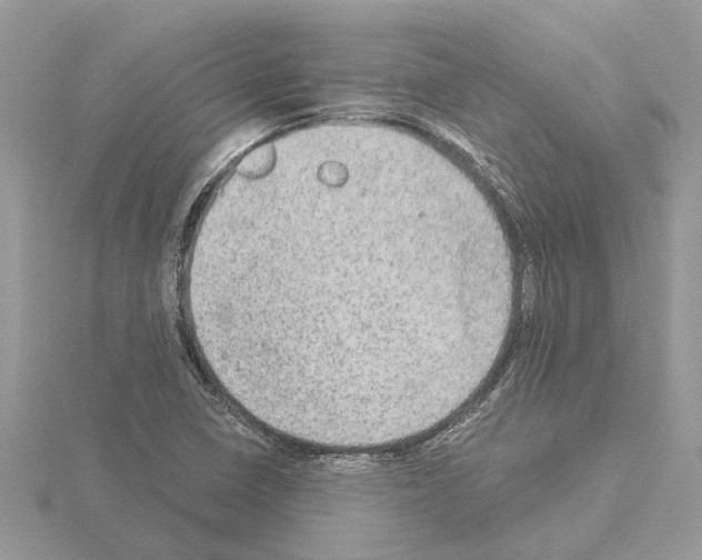 X0000115031410200912071038