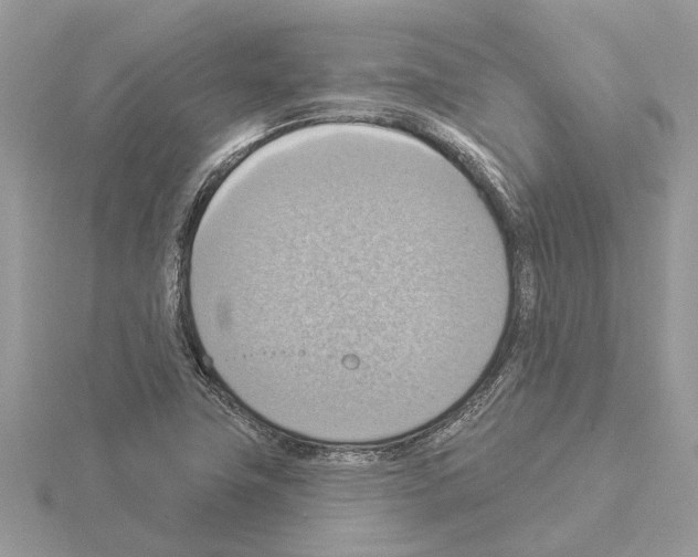 X0000115031411200912071038