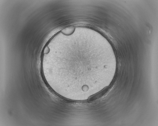 X0000115031418200912071039