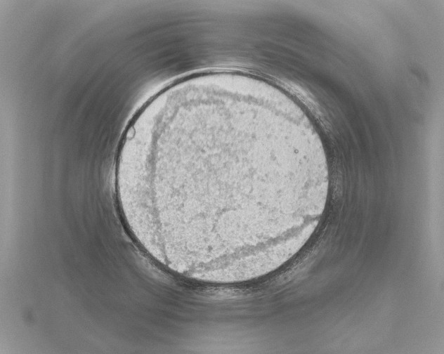 X0000115031420200912071039