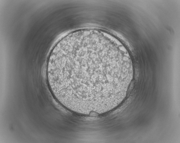 X0000115031421200912071039