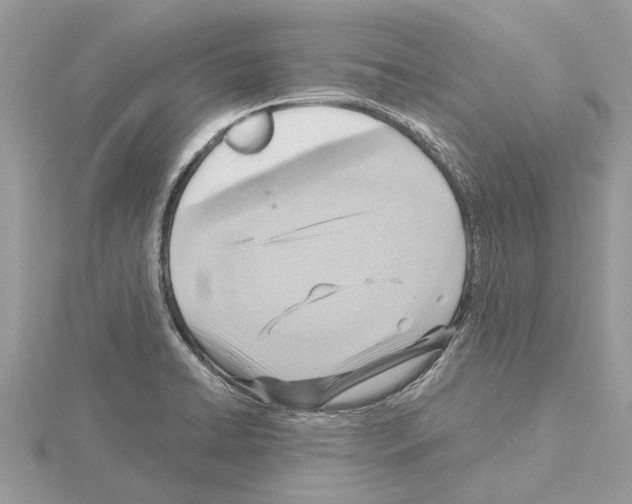 X0000115031422200912071039