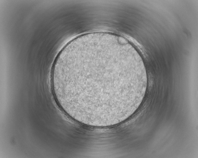 X0000115031423200912071039