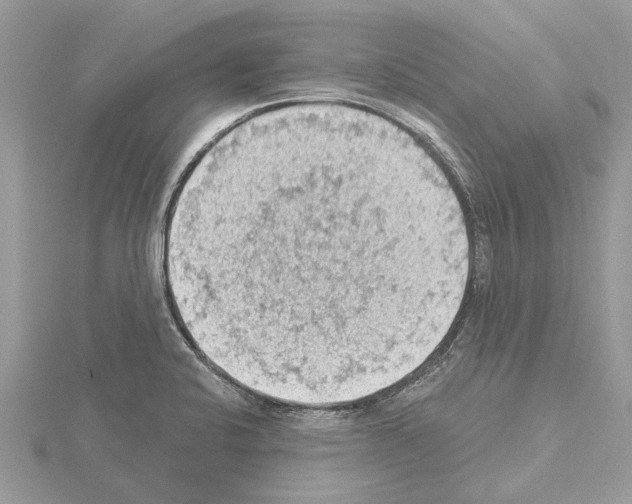 X0000115031424200912071039