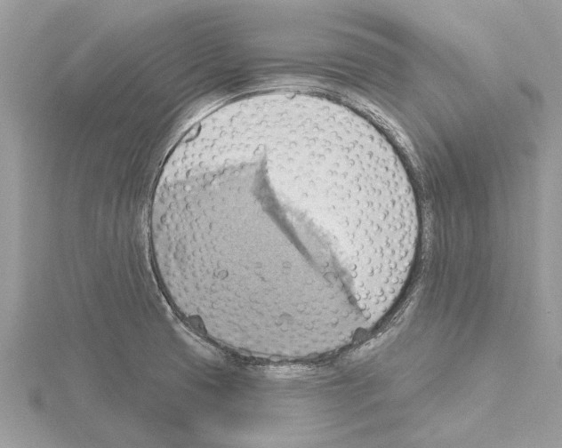 X0000115031425200912071039
