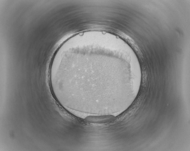 X0000115031427200912071039