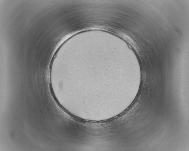 X0000115031428200912071039