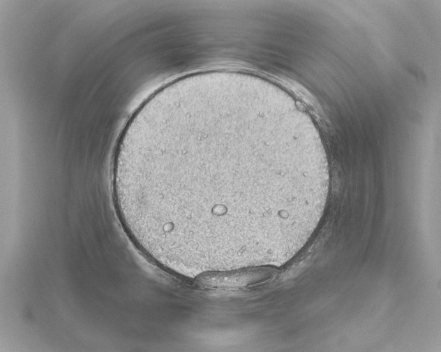 X0000115031430200912071039