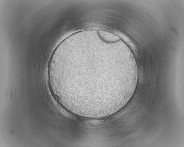 X0000115031431200912071039