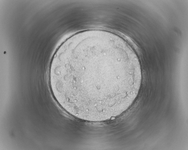 X0000115031432200912071039