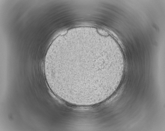 X0000115031433200912071039