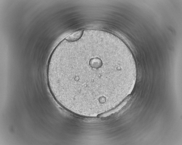 X0000115031434200912071039