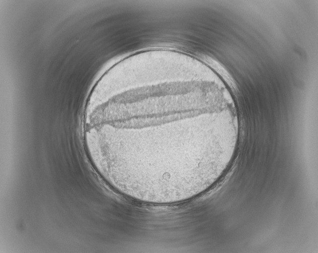 X0000115031436200912071039