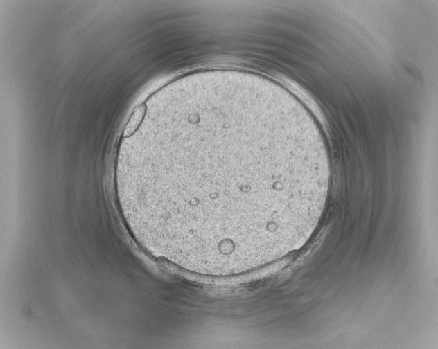 X0000115031437200912071039